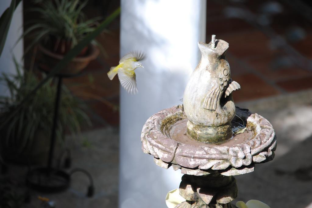 Hotel Jovel San Cristóbal de Las Casas Εξωτερικό φωτογραφία